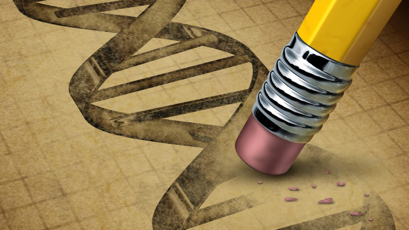Genetic Loss - Copy