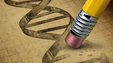 Genetic Loss - Copy