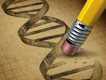 Genetic Loss - Copy