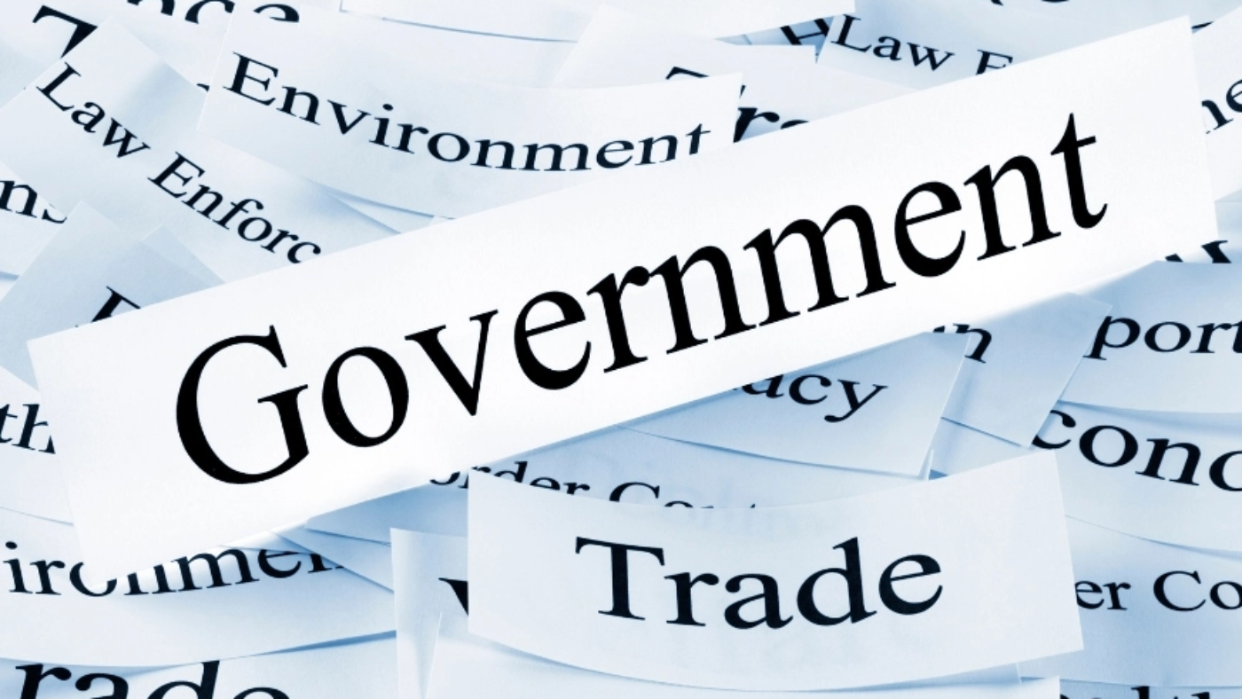 Government (1) (1)